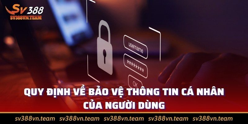 Chính sách bảo mật 3 Quy định về bảo vệ thông tin cá nhân của người dùng